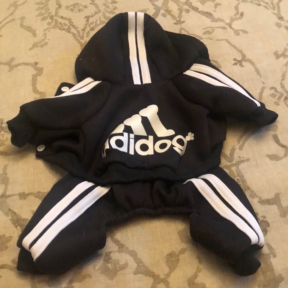 adidas dog outfit